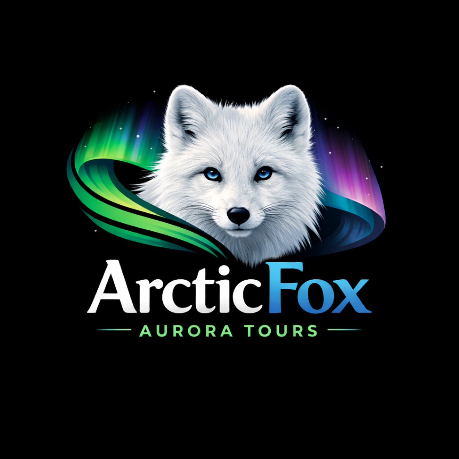Arctic Fox Aurora Tours