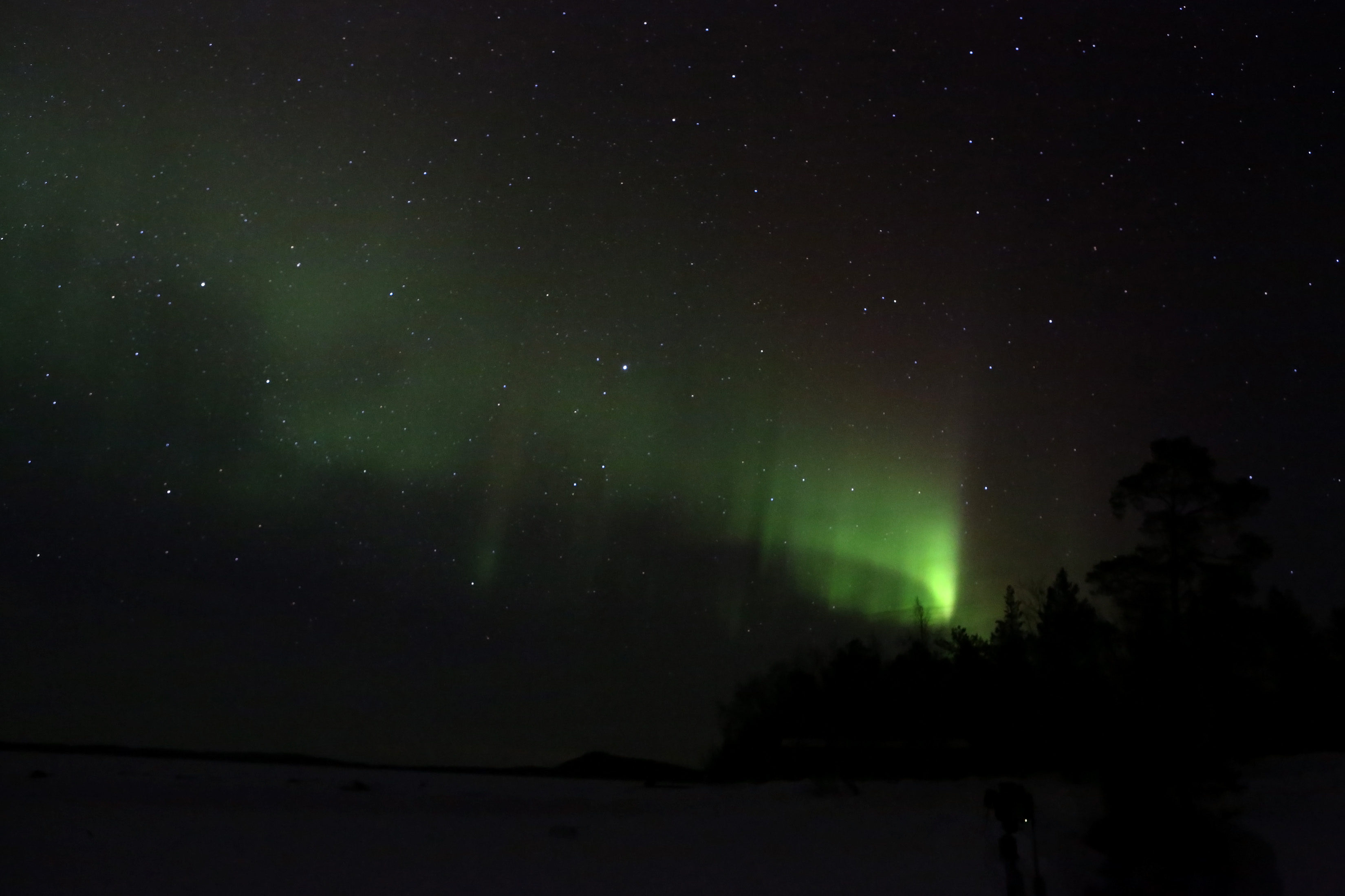 Green northern lights above Lake Inari