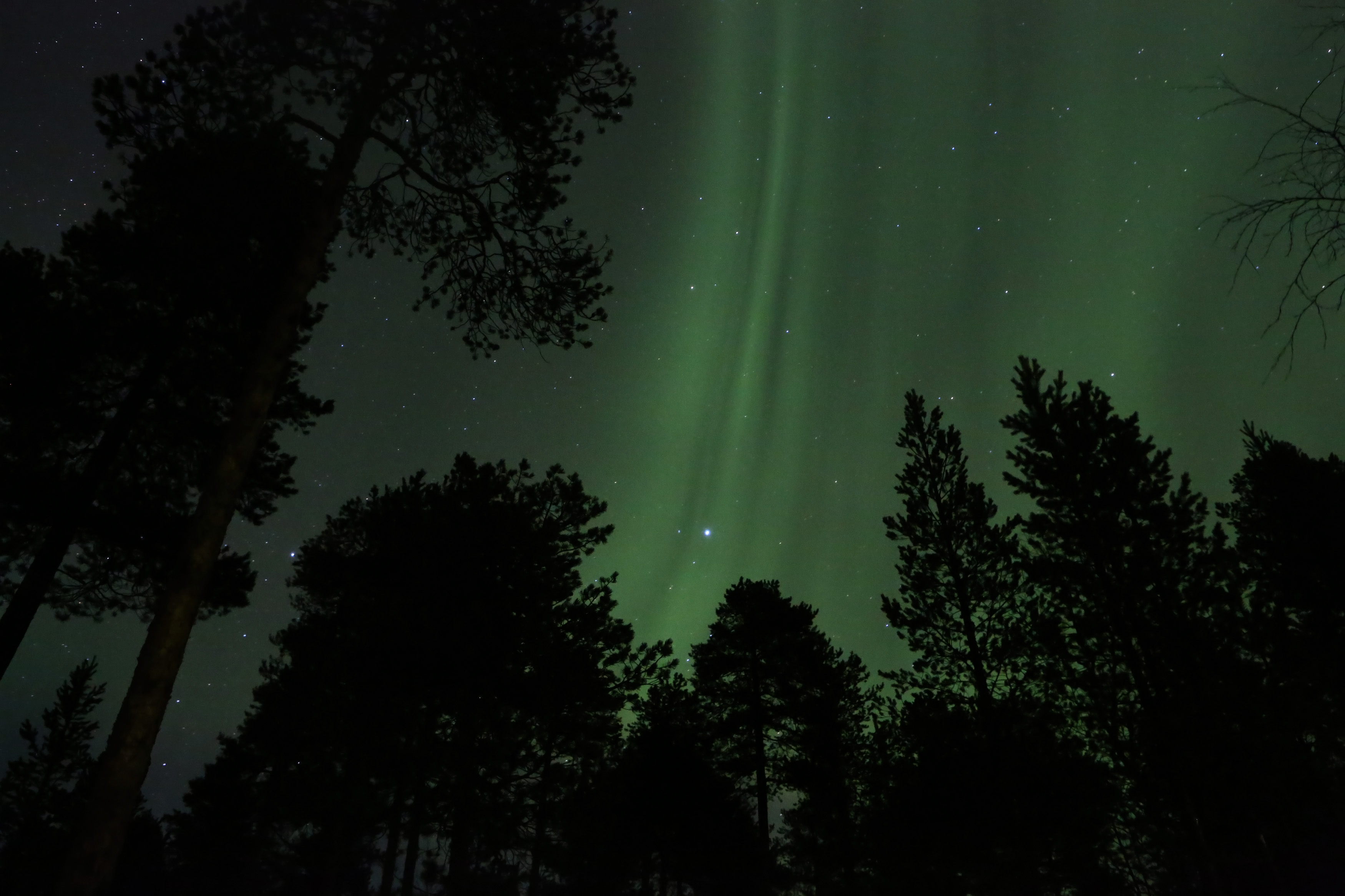 Aurora above a snowy lake in Inari, Finland